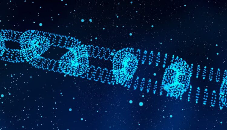 Конференция Blockchain Connect