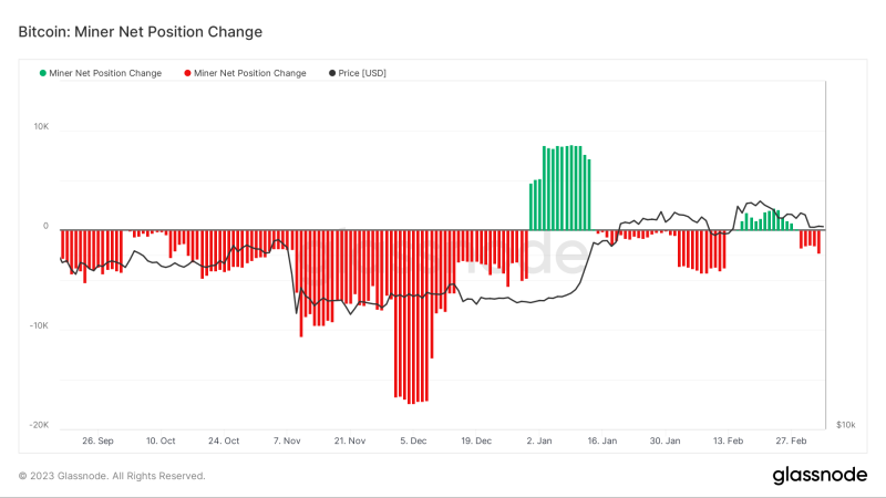 Цена BTC «в присутствии котировок» — 5 вещей, которые нужно знать о биткойнах на этой земле