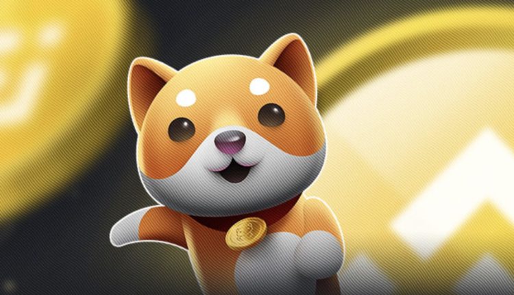 DogeDay