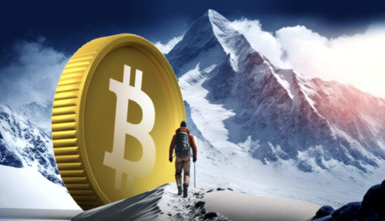 биткоин вырастет