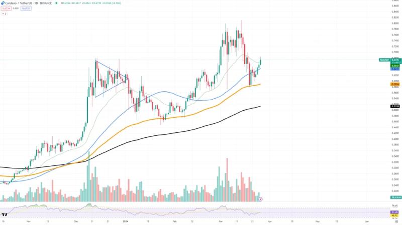 Ada Whales On The Move: Analyzing Cardano Market Dynamics