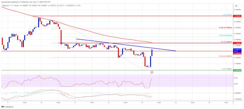 Dogecoin Battle: Bulls Struggle To Surmount $0.1450 Resistance Amidst Recovery Efforts