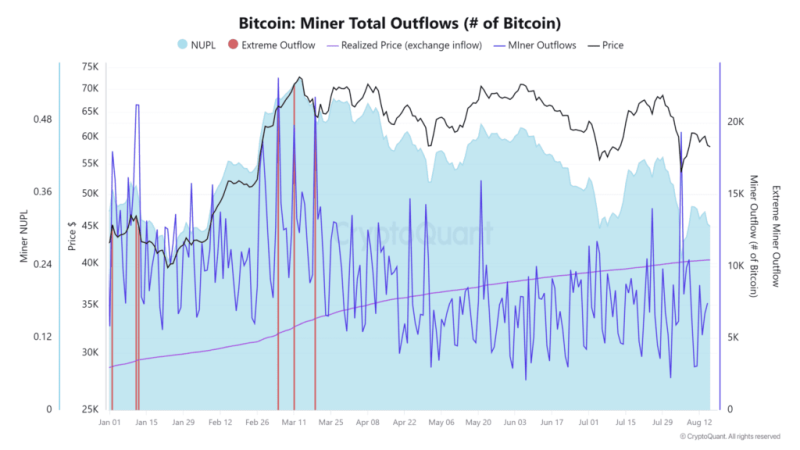 Bitcoin at a Crossroads: Miner Capitulation Meets Signs of Market Stability