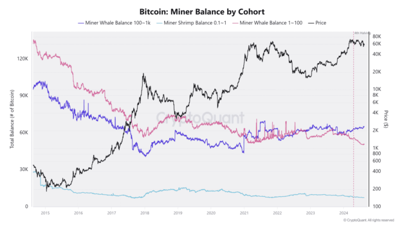 Bitcoin at a Crossroads: Miner Capitulation Meets Signs of Market Stability