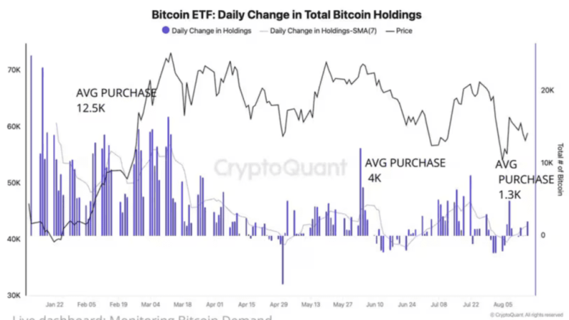 Bitcoin Metrics Signal Weak Demand Amid Slowing Etf Hype: Cryptoquant