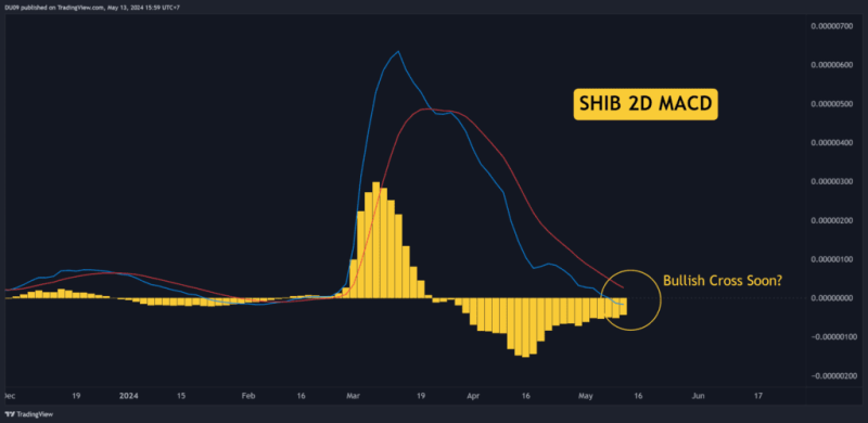 Shiba Inu Bullish Run: Technical Signals Hint At Prolonged Upswing