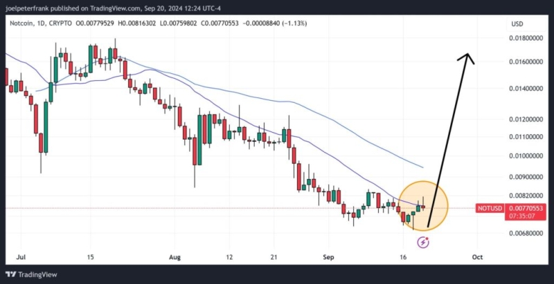 Notcoin Price Set For Major Rally: Positive Signals Hint At Huge Gains Ahead For Not Holders