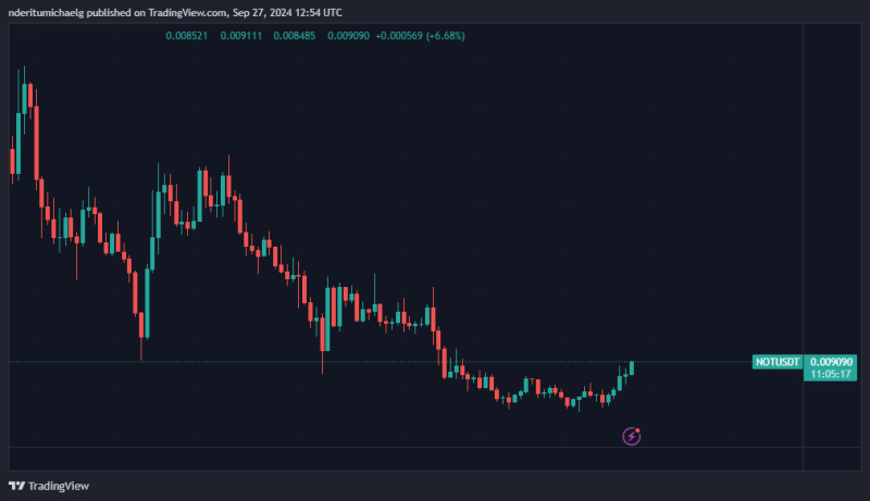 Notcoin Rebound: Whale Accumulation And Price Surge Revive Hopes For Recovery